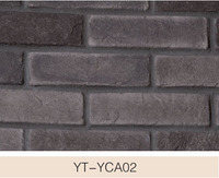 YT-YCA02