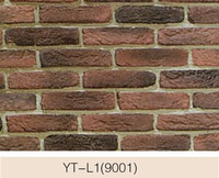 YT-L1(9001)